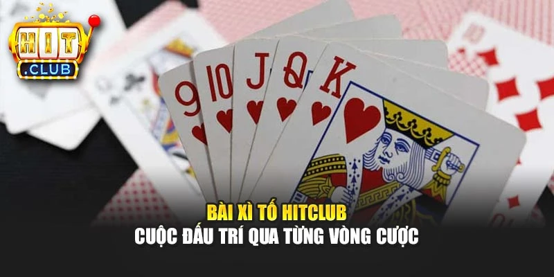 Bài Xì Tố Hitclub – Cuộc Đấu Trí Qua Từng Vòng Cược