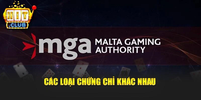 Các loại chứng chỉ khác nhau