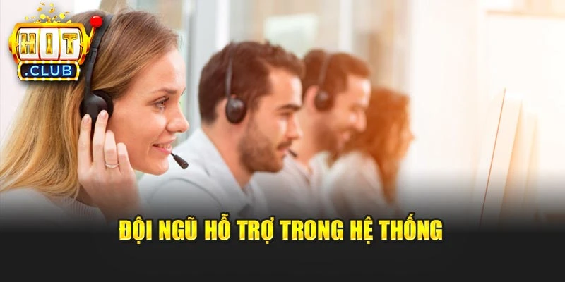 Đội ngũ hỗ trợ trong hệ thống
