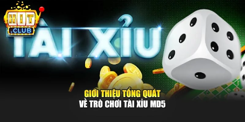 Giới thiệu tổng quát về trò chơi Tài Xỉu MD5