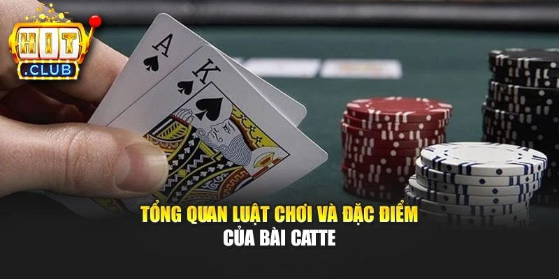 Tổng quan luật chơi và đặc điểm của bài Catte
