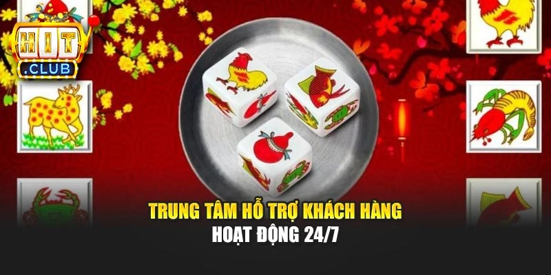Trung tâm hỗ trợ khách hàng hoạt động 24/7